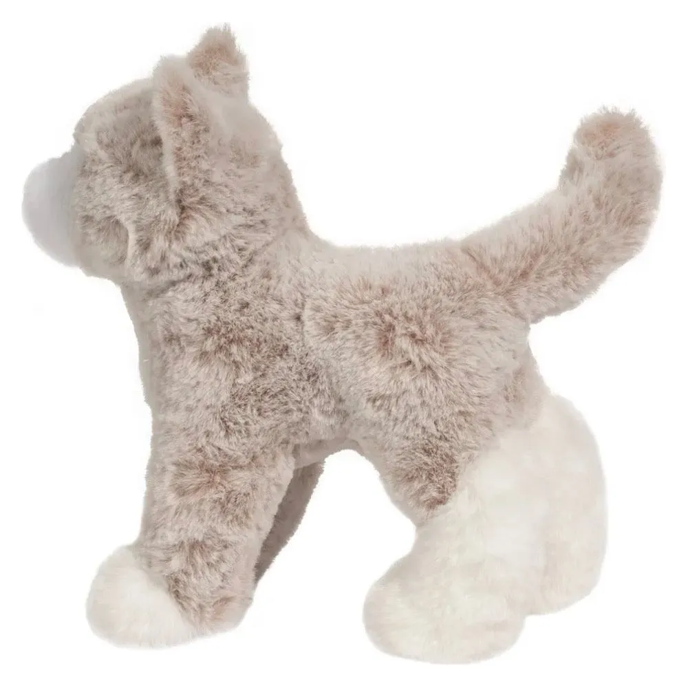 Abby tan cat 4038
